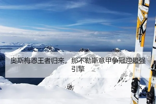 ao-si-mei-en-wang-zhe-gui-lai-na-bu-le-si-yi-jia-zheng-guan-ying-zui-qiang-yin-qing-2-594.jpg